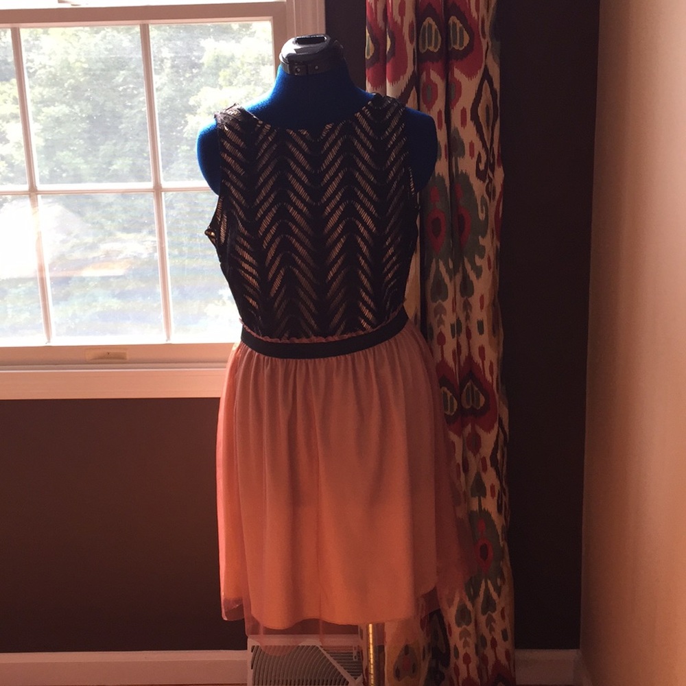 Black, Tan, and Pink Dress